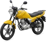 Prawo jazdy kat AM od 14 lat